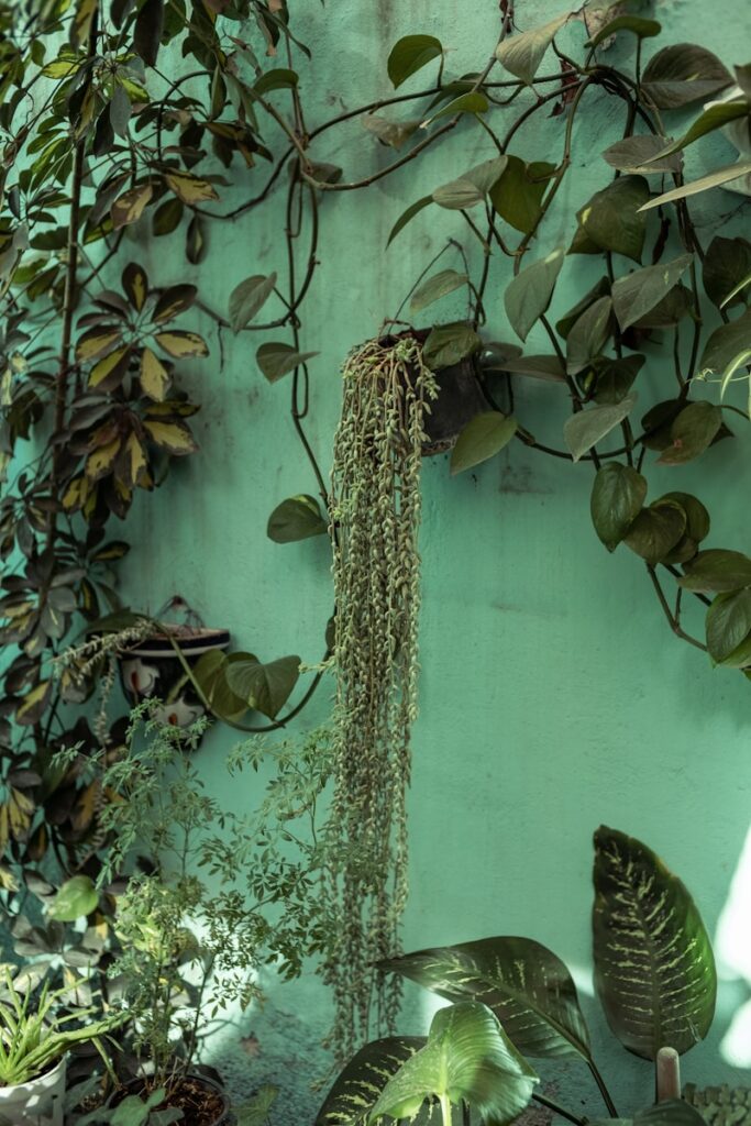 a green wall with a bunch of plants growing on it