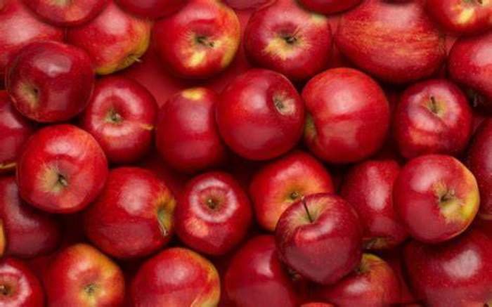 Top 20 Foods to Improve Kidney Health 7 Apples