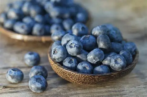 Top 20 Foods to Improve Kidney Health 5 Blueberries