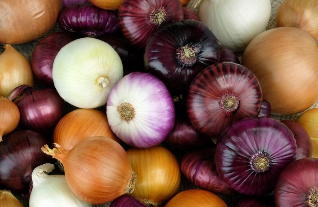 Top 20 Foods to Improve Kidney Health 9 Onions