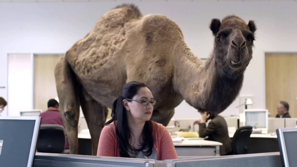 10 Best Insurance Company Ads of all Time (No. 8 is the funniest)